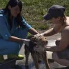 9119_100.webp