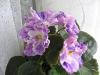 2339790_m.webp