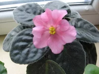 2339792_m.webp