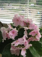 2528235_m.webp
