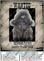 Loeber_Cats_Wanted_Poster.gif