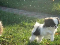 4235606cc088.webp