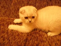 DSCF5089.webp