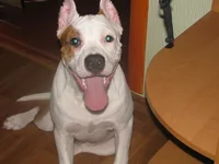 x_8d8b5571.webp