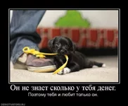 x_be406457.webp