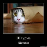 x_d49a4ed0.webp