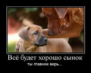 x_fac3ca47.webp