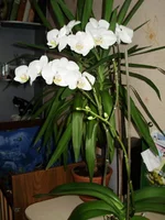 PB110422.jpg