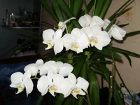 PB110423.jpg