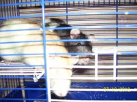 100_4177.webp