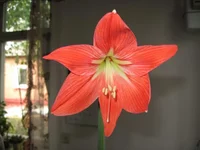 .webp