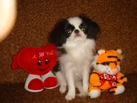 DSC03978.webp