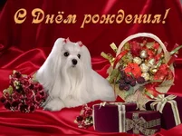 jj.webp