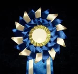 HBVLd.webp