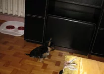 IMG_16752222.webp