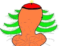 xxx.webp