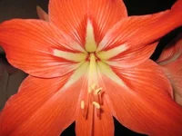IMG_7755_thumb.webp