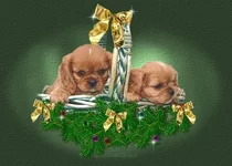 2e9e36ad076a.webp