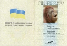 .webp