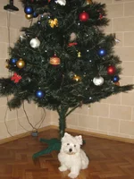 IMG_3011.webp
