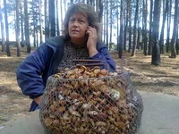 3123448_m.webp