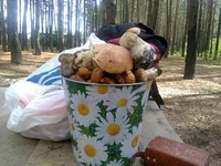 3123449_m.webp