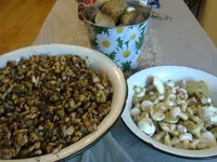 3123450_m.jpg