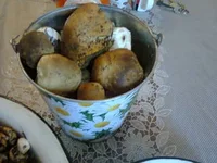3123451_m.webp