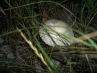 3123646_m.webp