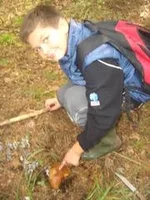3123685_m.webp