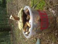 3123690_m.webp