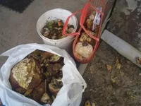 3123691_m.webp