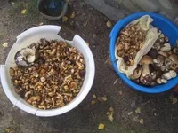 3123703_m.webp