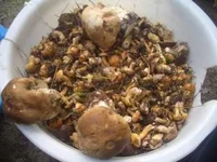 3123708_m.webp