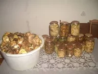 3123711_m.webp