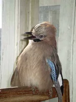 P5300007.JPG
