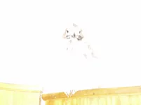 - привидение.webp