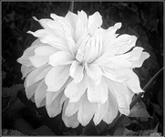 156_Edited-1_hf.webp
