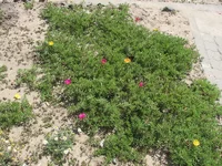 IMG_2852_resize.webp