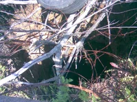 001.webp