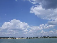  092.webp