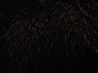  040.webp