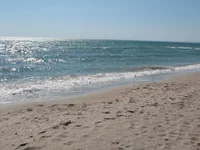 IMG_0317.webp