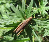 crop-IMG_2958.webp