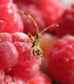 crop-IMG_2892.webp