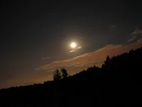 Resize of IMG_2946.webp