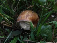  008_thumb.webp