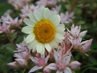  033_thumb.webp