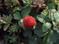  040_thumb.webp