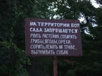  041_thumb.webp